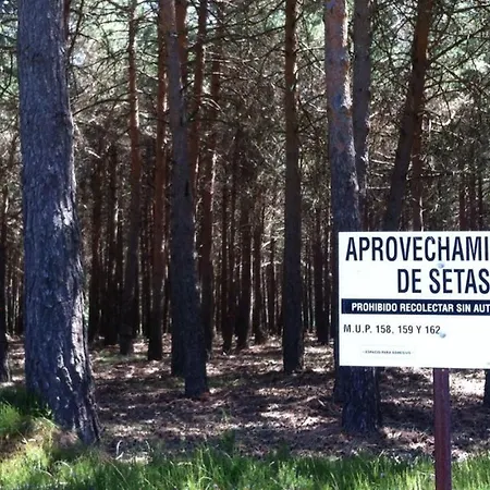 Villapajar Сasa de vacaciones *